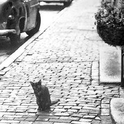 McClump's profile picture. 