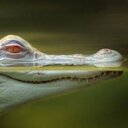 Enrique Peralta - @quiquin_peralta - Twitter