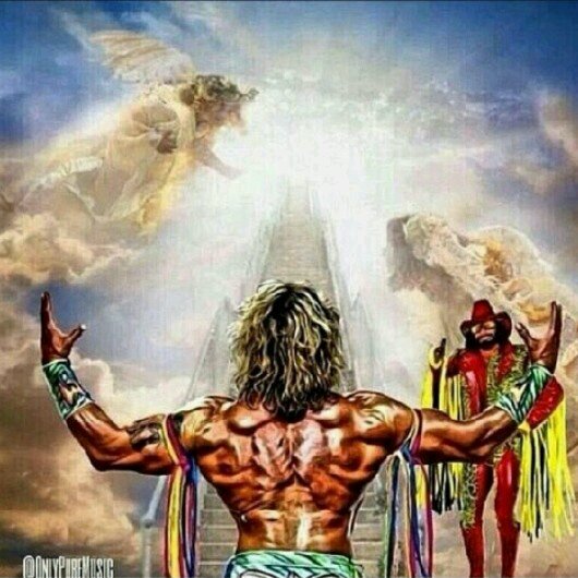 Cm_Punk_fanpage's profile picture. #TeamFollowBack Follow For Follow :]