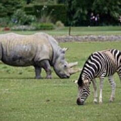 burford_'s profile picture. 