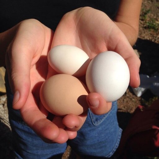 jimmyo594's profile picture. 