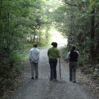 Windcall Institute (@windcallorg) Twitter profile photo