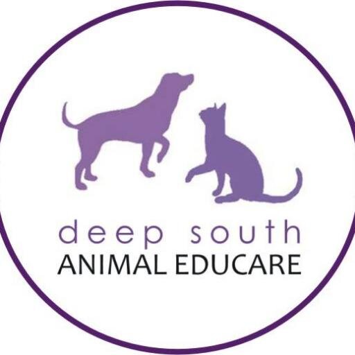 Deep South Animal Educare is a pro-quality of life organisation focusing on #education & #sterilisation in the disadvantaged communities in Cape Town.