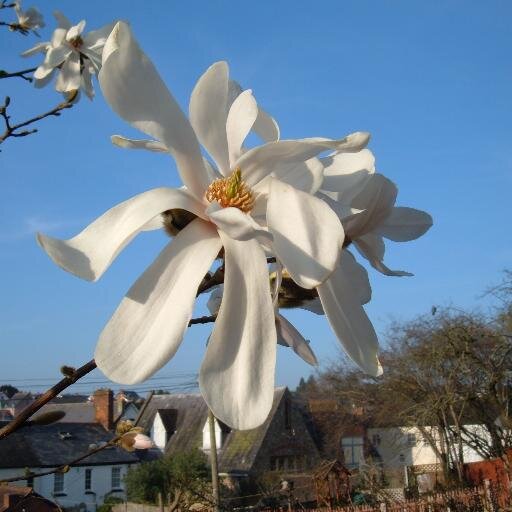 CeliaAnnCraven's profile picture. 