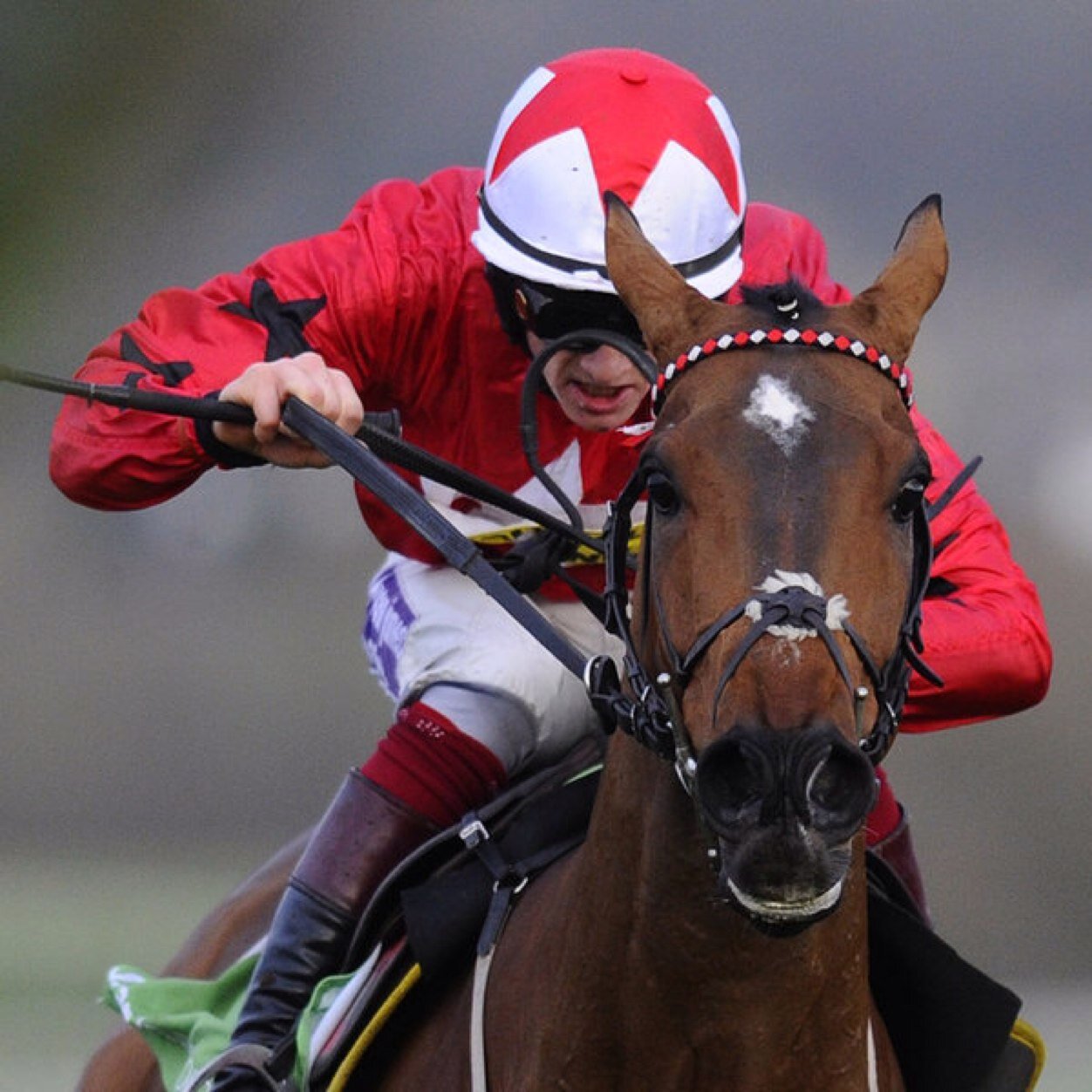 23 year old sports enthusiast giving you my top tips! Tips on all sports: football, horse racing, tennis, darts etc.
