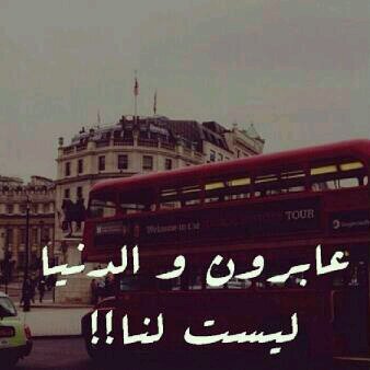 ‏‏‏‏‏‏‏صدقه جاآريهه للمرحومان بآذن الله  محمد وعبدالله بشير الطلوحي العنزي.