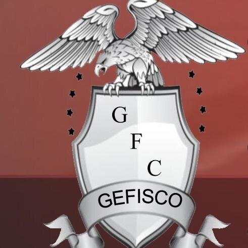 GESTORIA FISCAL CONTABLE.
