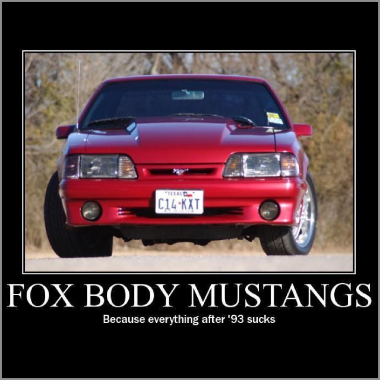 MustangFoxbodys's profile picture. Foxbodys only
