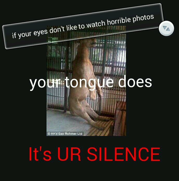 We all love animals. But YOU must know the TrUth  → love is NOT enough ←