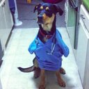 Daren Martin - @djmart33 - Twitter