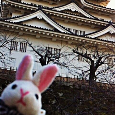 Yu77Oka Profile Picture