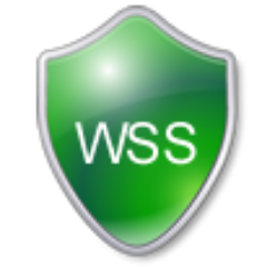 Web Sercurity Service. Makes the web bit by byte safer