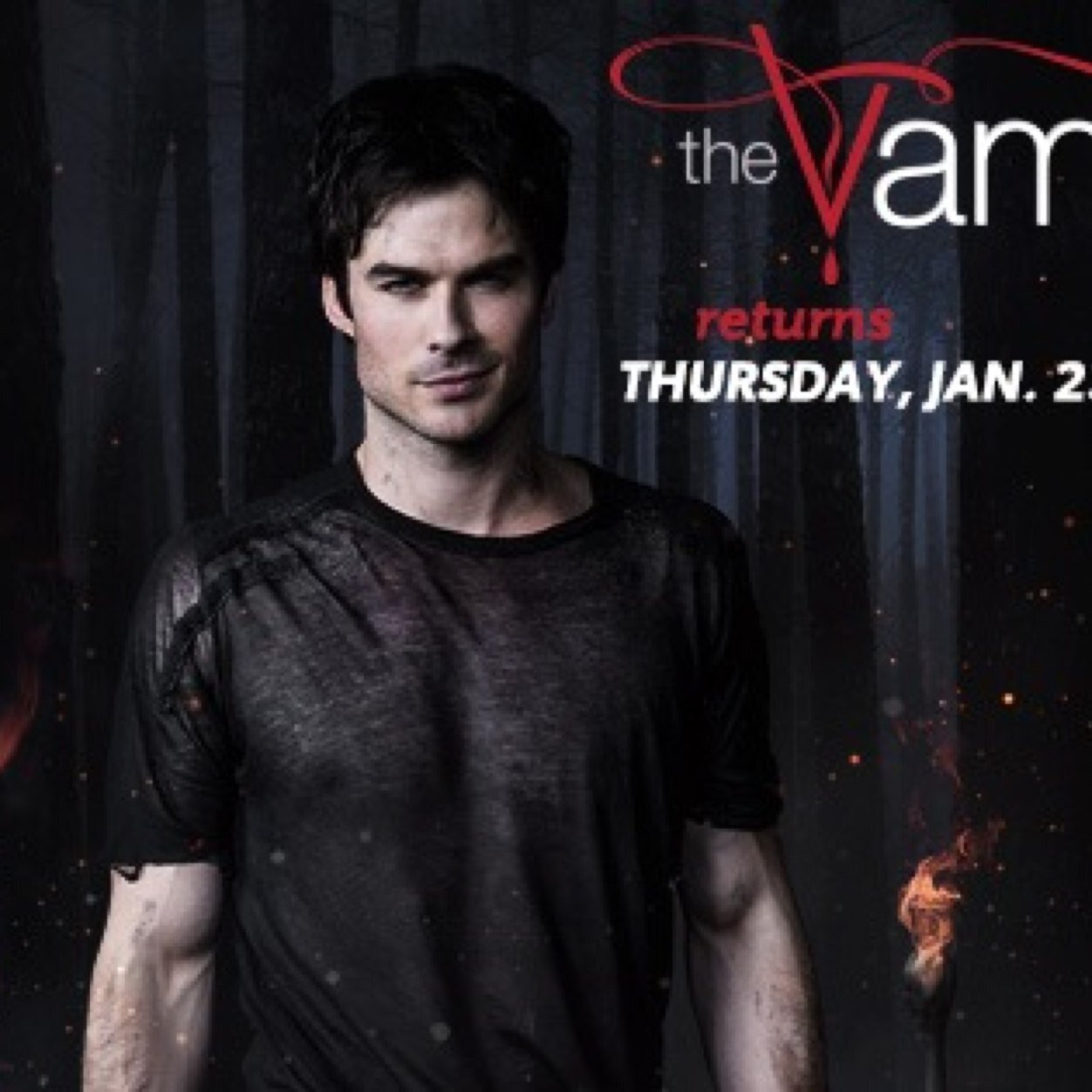 I m a true lovatic...but damon is mine...touch him i kill you :)
Follow me i follow back :)