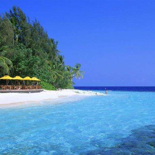 jey810's profile picture. 