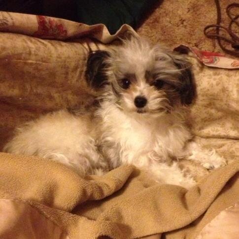 coleandjosh's profile picture. 