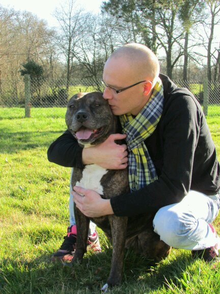 Prototyp61's profile picture. 