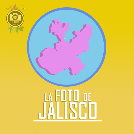 Cuenta Oficial de Ectivismo en el Estado de Jalisco.