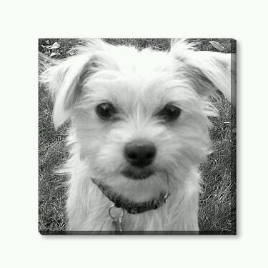 wwcentury's profile picture. 