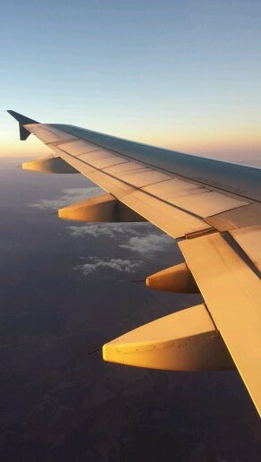 ToMuchAtOneTime's profile picture. Hello