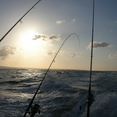 himi_youssef's profile image