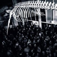 Grickle Grass Fest (@grickle_grass) 's Twitter Profile