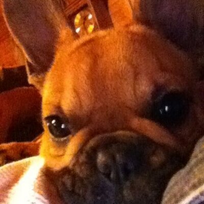 RAndrewKoffron's profile image