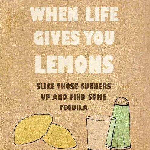 8coast0's profile picture. Collect moments, not things