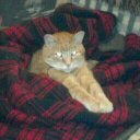 Stacy Walters - @sexypiggy69 - Twitter