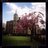 TheCharltonSoc's profile image