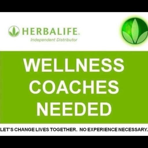 herbalife jobs