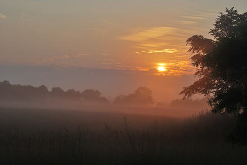 threeintow70's profile picture. Point me in the direction of a movie theater!