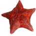 Peter Lenart (@lenartlab) Twitter profile photo