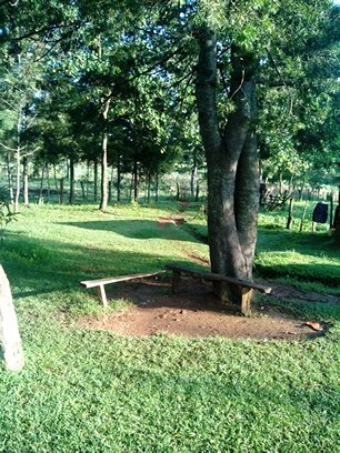 rodrick_muya's profile picture. 