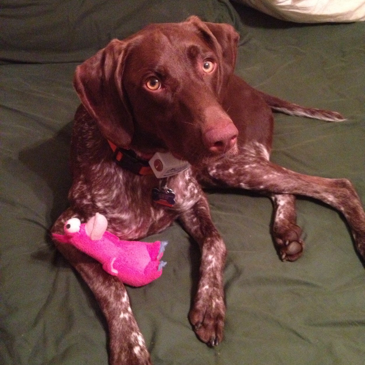 Piper717's profile picture. 