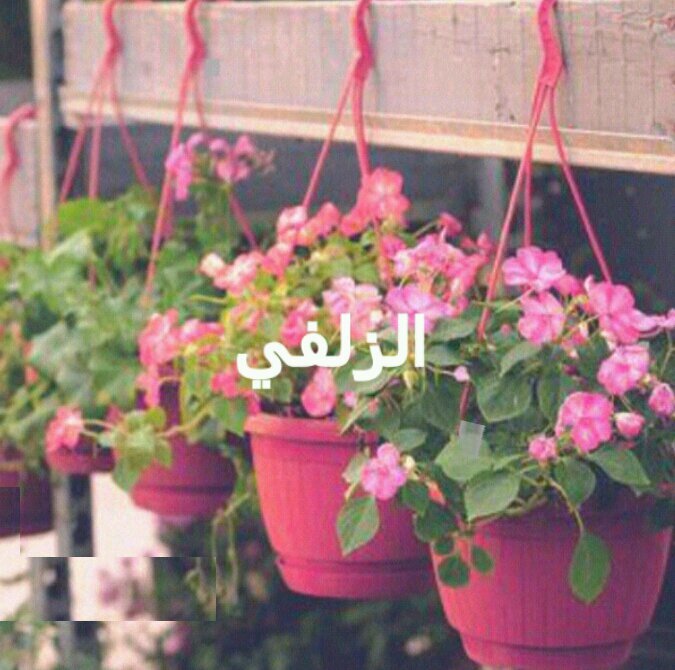 ♦️اللهم صل وسلم على نبينا محمد 📌