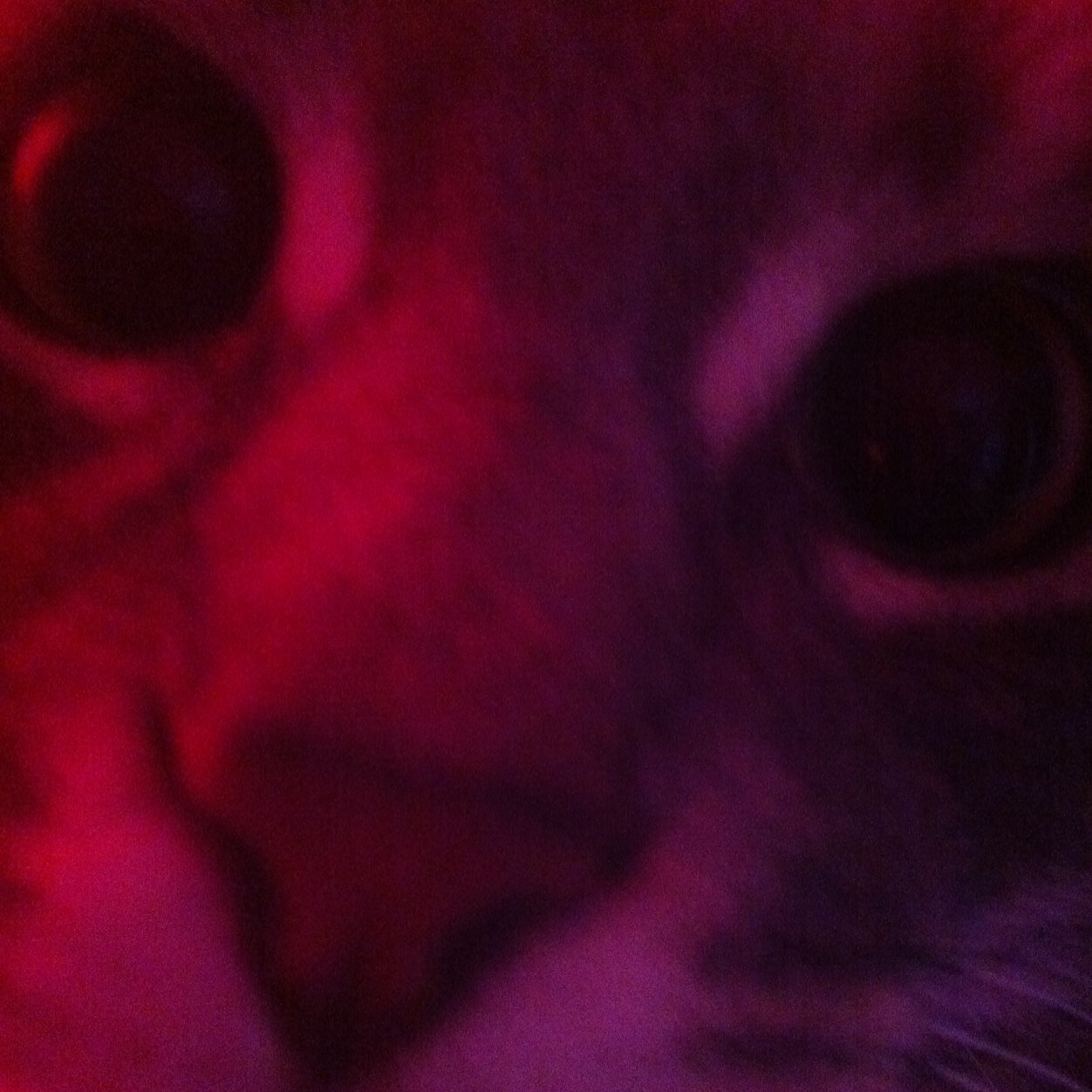 JucyPie's profile picture. 