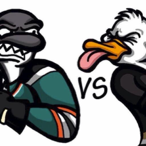 Go the Anaheim Ducks!!