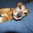 sidzaker's profile image