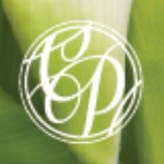 custom event stationery + paper goods // design studio + printing