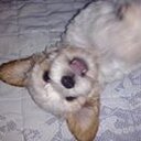 Vegetta Gaymer Pro - @GaryRex777 - Twitter