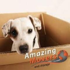 Our mission is to provide the best moving service to our customer and insure they will have a great experience during this stressful time.