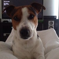 kanttouchme (@kanttouchme44) 's Twitter Profile