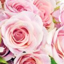 jackie whitmore - @whitmore_jacki - Twitter