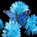 Leyla Schmidt - @LeylaSchmidt - Twitter