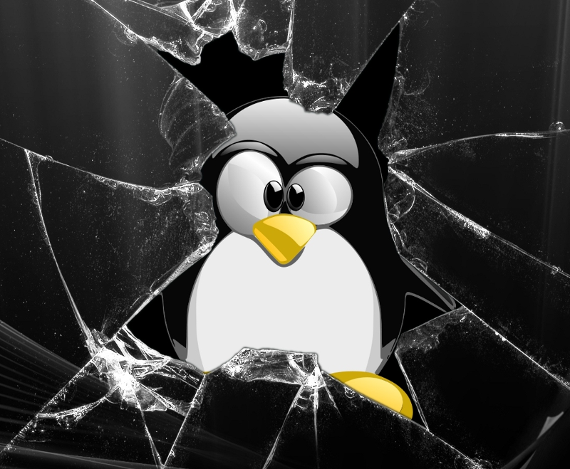 brokentoolchain's profile picture. Software Engineer