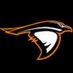 Anderson Lacrosse (@andersonulax) Twitter profile photo