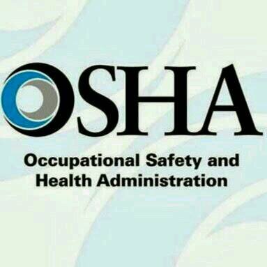 BasanezCarlos's profile picture. 