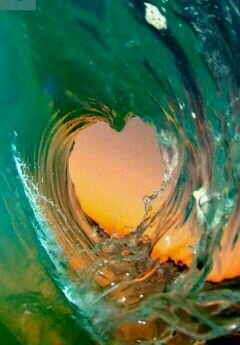 Alaparkf's profile picture. 