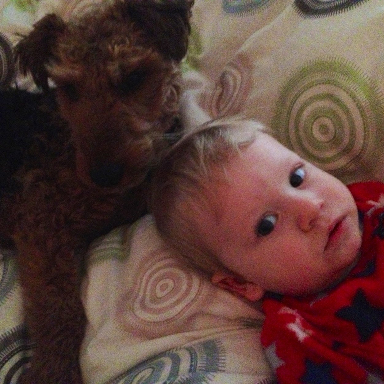 Lou_Nev's profile picture.