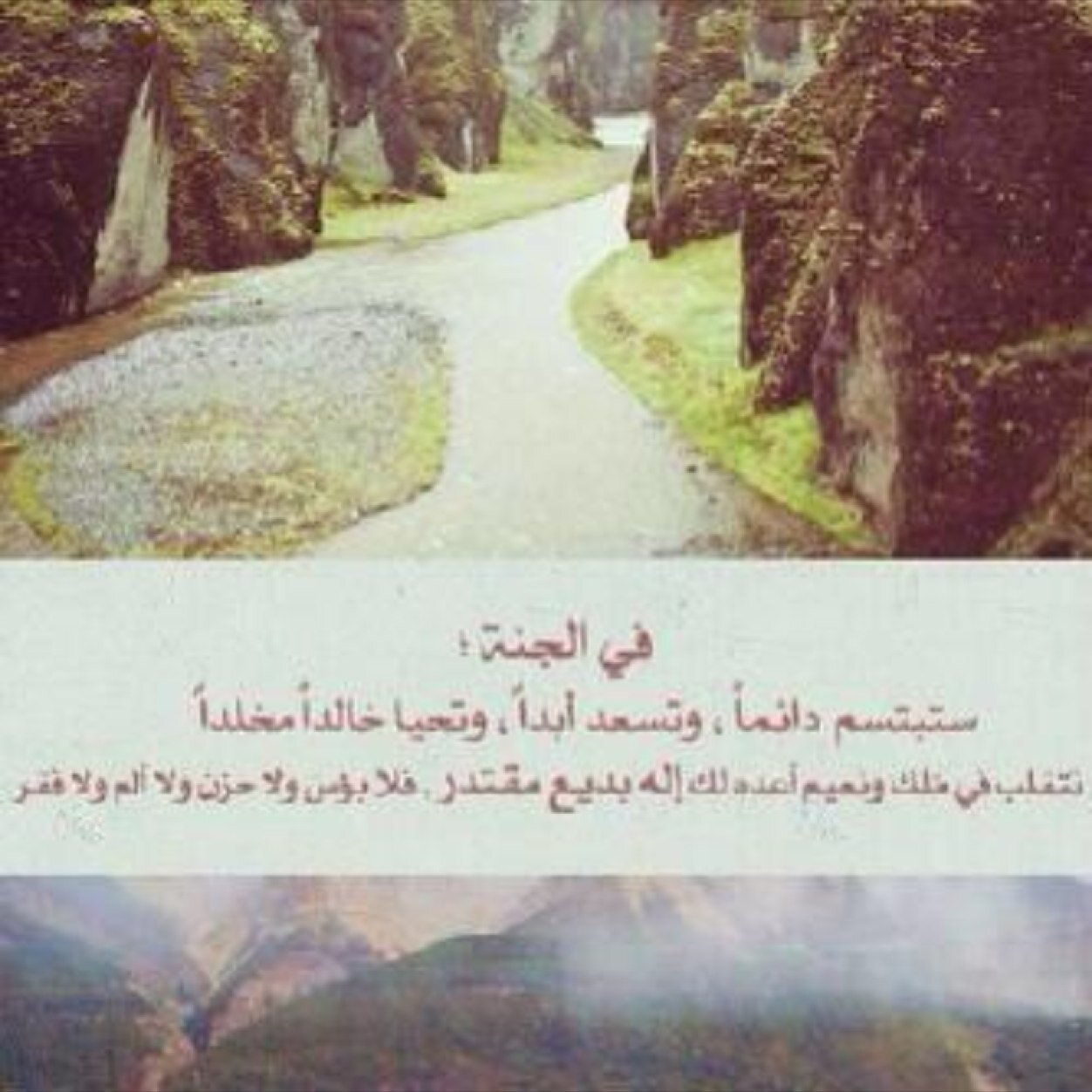 صديقتي حبيبتي ❤️ لم أعش معك سوى عشر سنوات ونصف أعلم أنه لن يساوي حلاوتها شيء ! ولن تعود .. حتى وإن طال البعد سأتمسك بك وأرسل الدعوات للكريم الذي أكرمني بك ❤️
